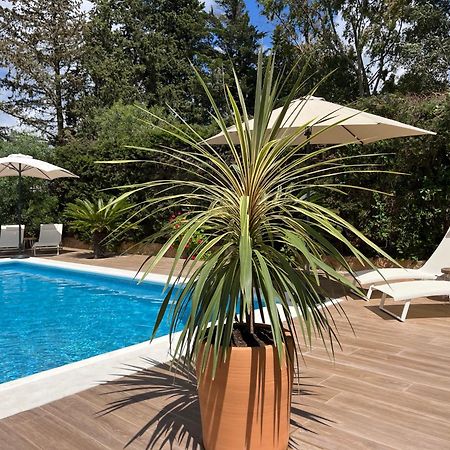 Arriba Stijlvol Appartement Met Zwembad En Tuin Коніль-де-ла-Фронтера Екстер'єр фото